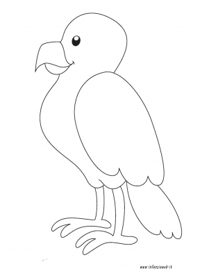 Disegni Da Colorare Categoria Animali Immagine Falco Infanziaweb