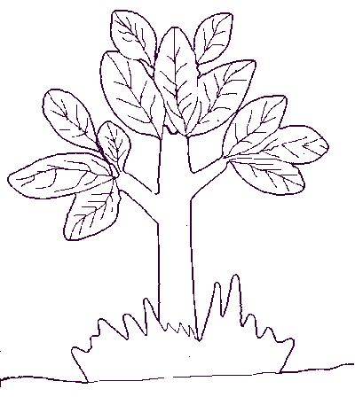 Albero con le foglie