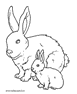 coniglietto con mamma coniglio