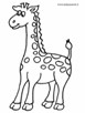 giraffa