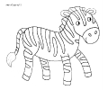 zebra